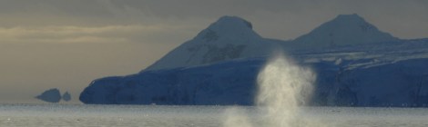 Photo by Ari S. Friedlaender