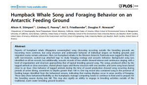 Humpback Whale Song and Foraging Behavior on an Antarctic Feeding Ground
