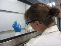 The third-to-last step in a 45-step sample prep process.