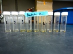 Isolated amino acids of the second batch of olive ridley skin samples, prepped and ready for analysis.  