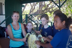 OSU PhD student Susie Pacenza assists with in-water green sea turtle monitoring on the Kona coast of Hawaii.