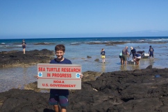 March 13, 2013 was a great day for in-water honu (Hawaiian green sea turtle) monitoring in Kona, Hawaii. 