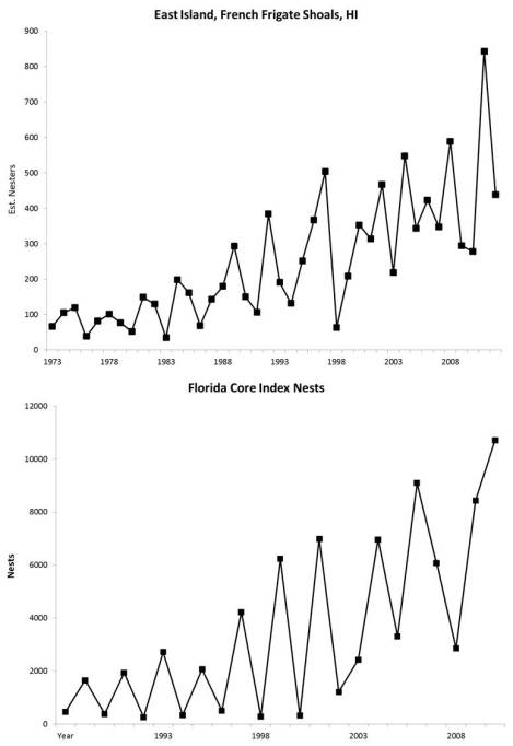 Encouraging nesting trends for green sea turtles in Hawaii and Florida.