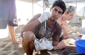 Sea turtle conservationist Jairo Mora Sandoval working at a hatchery in Moín. Photo courtesy of Wikimedia Commons.