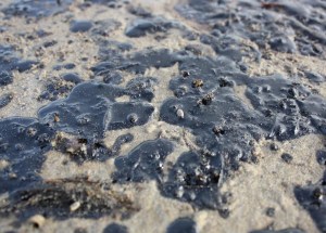 Oiled sand on Rufugio Beach trapping sand crabs below. Photo taken by Nick Schooler on May 19, 2015.